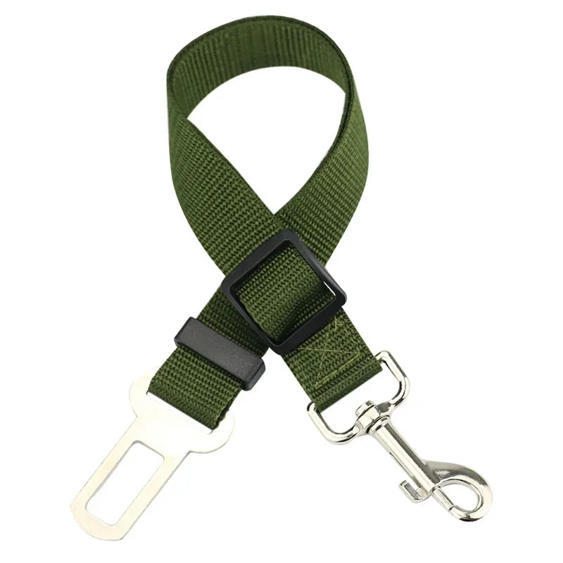 Safety Leash Seat Belt Clip