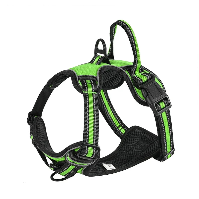 Safety Harness