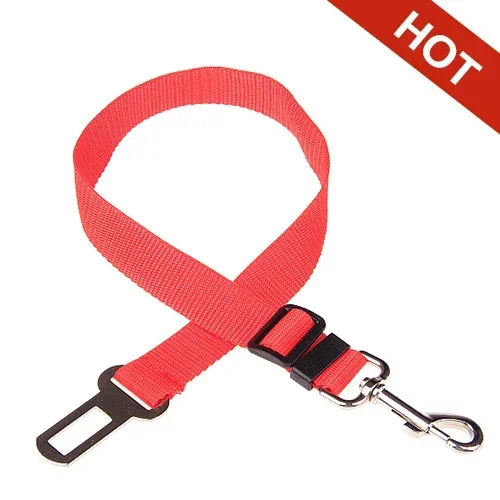 Safety Leash Seat Belt Clip