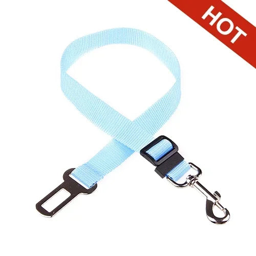 Safety Leash Seat Belt Clip