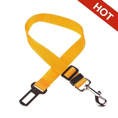 Safety Leash Seat Belt Clip