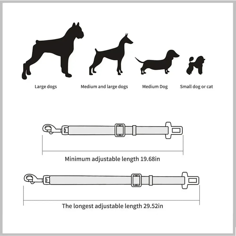 Safety Leash Seat Belt Clip