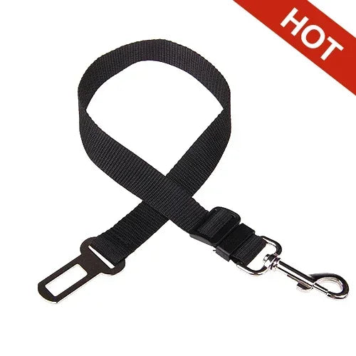 Safety Leash Seat Belt Clip