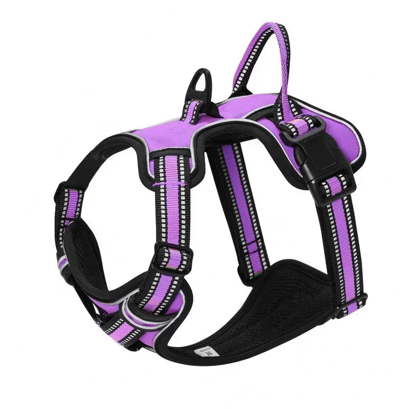 Safety Harness