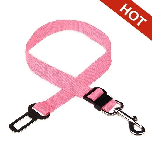 Safety Leash Seat Belt Clip