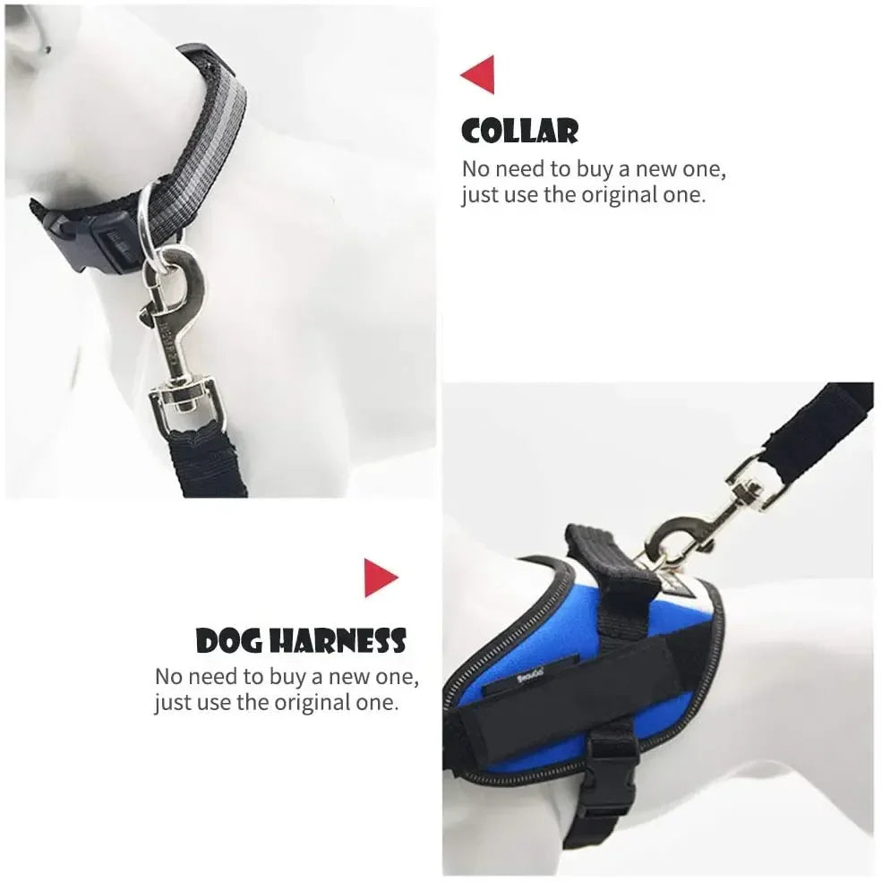 Safety Leash Seat Belt Clip