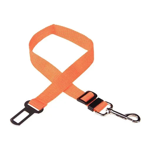 Safety Leash Seat Belt Clip